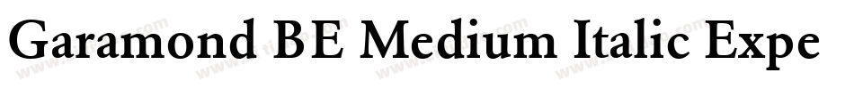 Garamond BE Medium Italic Expert字体转换